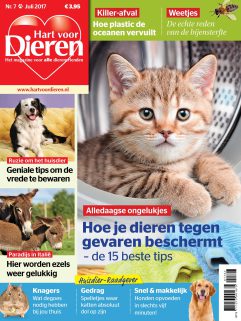 Hart voor Dieren